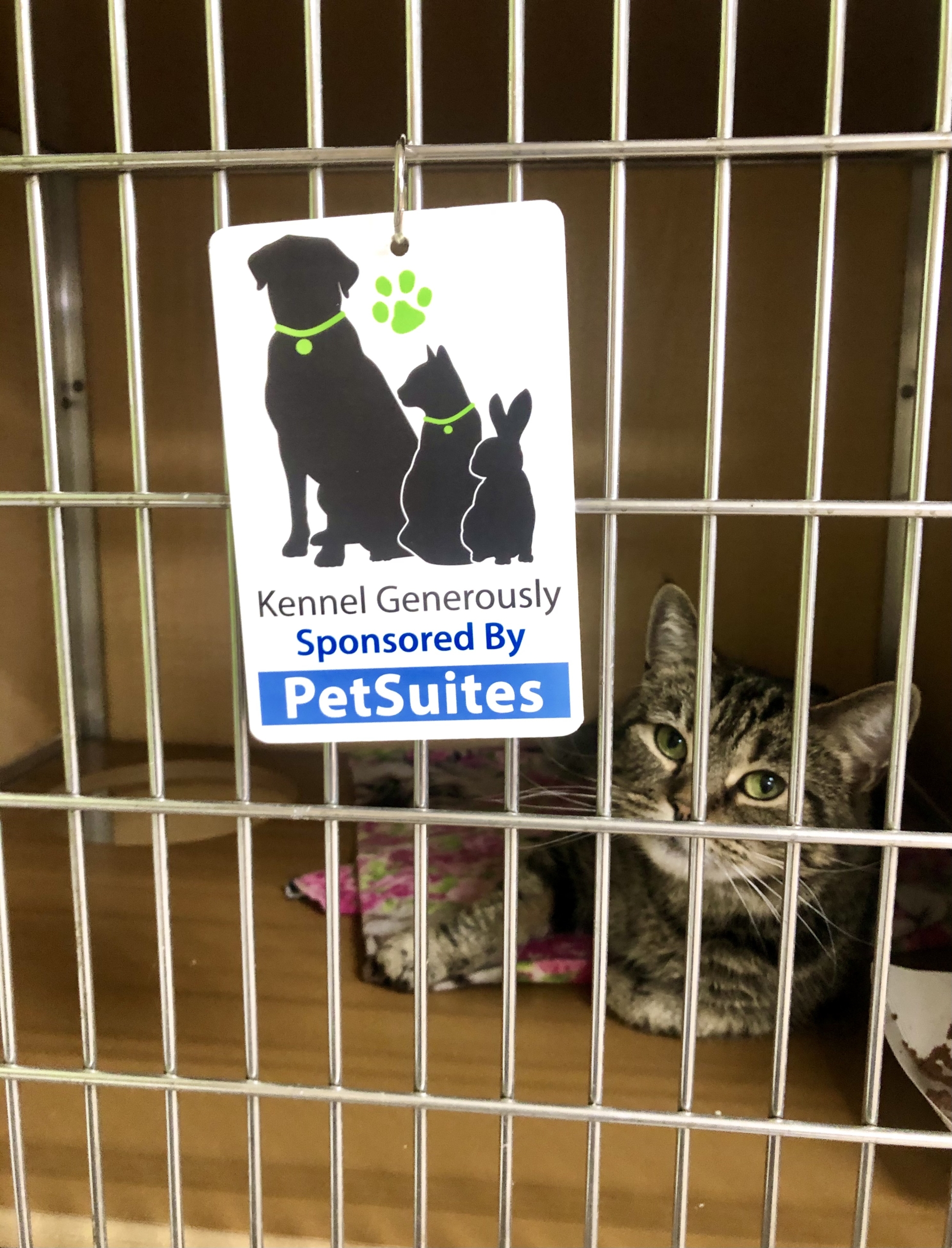 Sponsor a Kennel - Chesapeake Humane Society